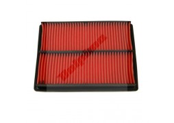 Filtru aer Honda GX610, GX620, GXV610, GXV620 (17210-ZJ1-841, 17210-ZJ1-842)