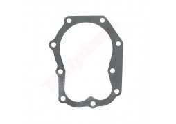 Garnitura chiulasa motor Briggs & Stratton (270983, 271868S)