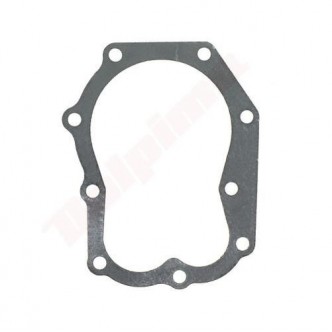 Garnitura chiulasa motor Briggs & Stratton (270983, 271868S)