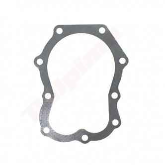 Garnitura chiulasa motor Briggs & Stratton (270984, 271867S)