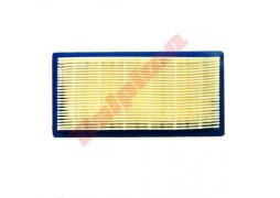 Filtru aer Briggs & Stratton (494511) 178x89x29