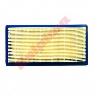 Filtru aer Briggs & Stratton (494511) 178x89x29