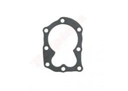 Garnitura chiulasa motor Briggs & Stratton CLASSIC (698717, 270341, 272170, 272536)