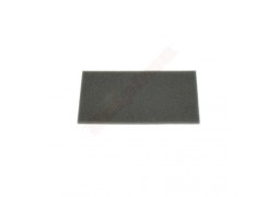 Filtru aer Briggs & Stratton (710267) wstA™pny