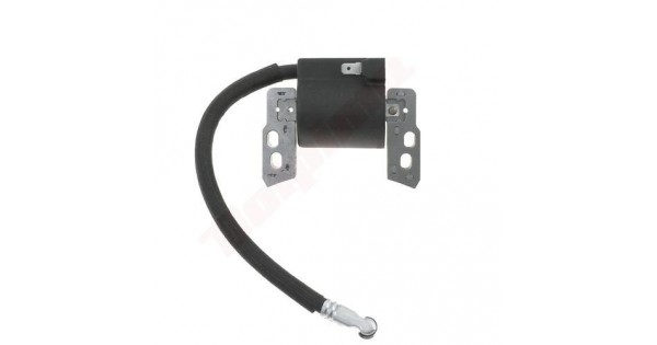 Bobina Originale Briggs & Stratton Per Rasaerba – 796964 – Agrifarm - Foto 9