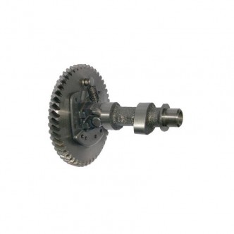 Ax came motocultor / generator 192F
