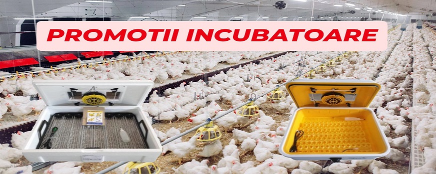 Promotii