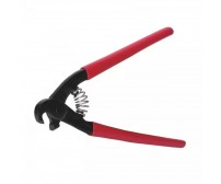 Cleste papagal rupt faianta Dedra Cleste papagal rupt faianta Dedra