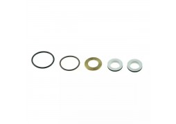 Set reparatie pentru aparat vopsit electric airless DED7421 (nou)