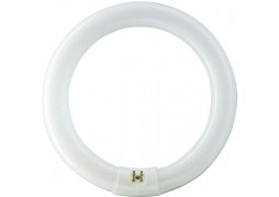 Tub Fluorescent Circular TL-E 22W 865