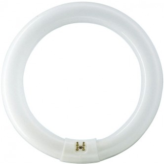 Tub Fluorescent Circular TL-E 22W 865