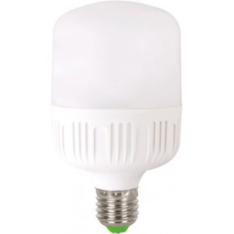 Bec LED 30W E27 6500K