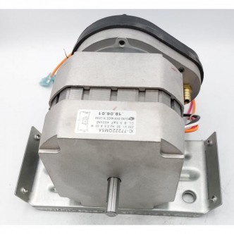 Motor electric tun de caldura pe motorina IC-77222QM5A 50W