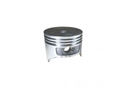 Piston, pentru motopompele Ruris MP30