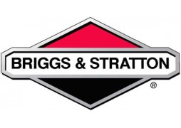 Carburator motor Briggs & Stratton