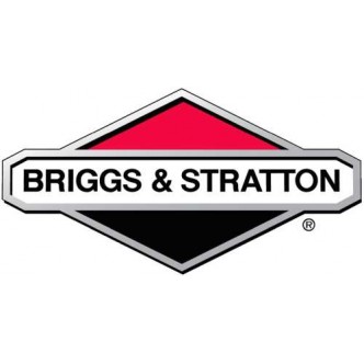 Carburator motor Briggs & Stratton