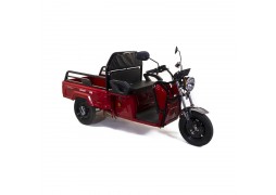 Triciclu Electric Cu Remorca Rotakt Nautilus 1600W 25 km/h Autonomie pana la 44 km Baterie plumb-acid 60V 32Ah Greutate maxima 364 kg, Fara permis