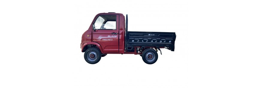 Masini electrice